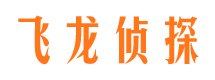 鹿寨市调查公司